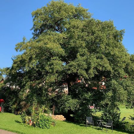 Ferienwohnung Am Rennsteig Bei Eisenach - Ilona Schmidt Wolfsburg-Unkeroda エクステリア 写真