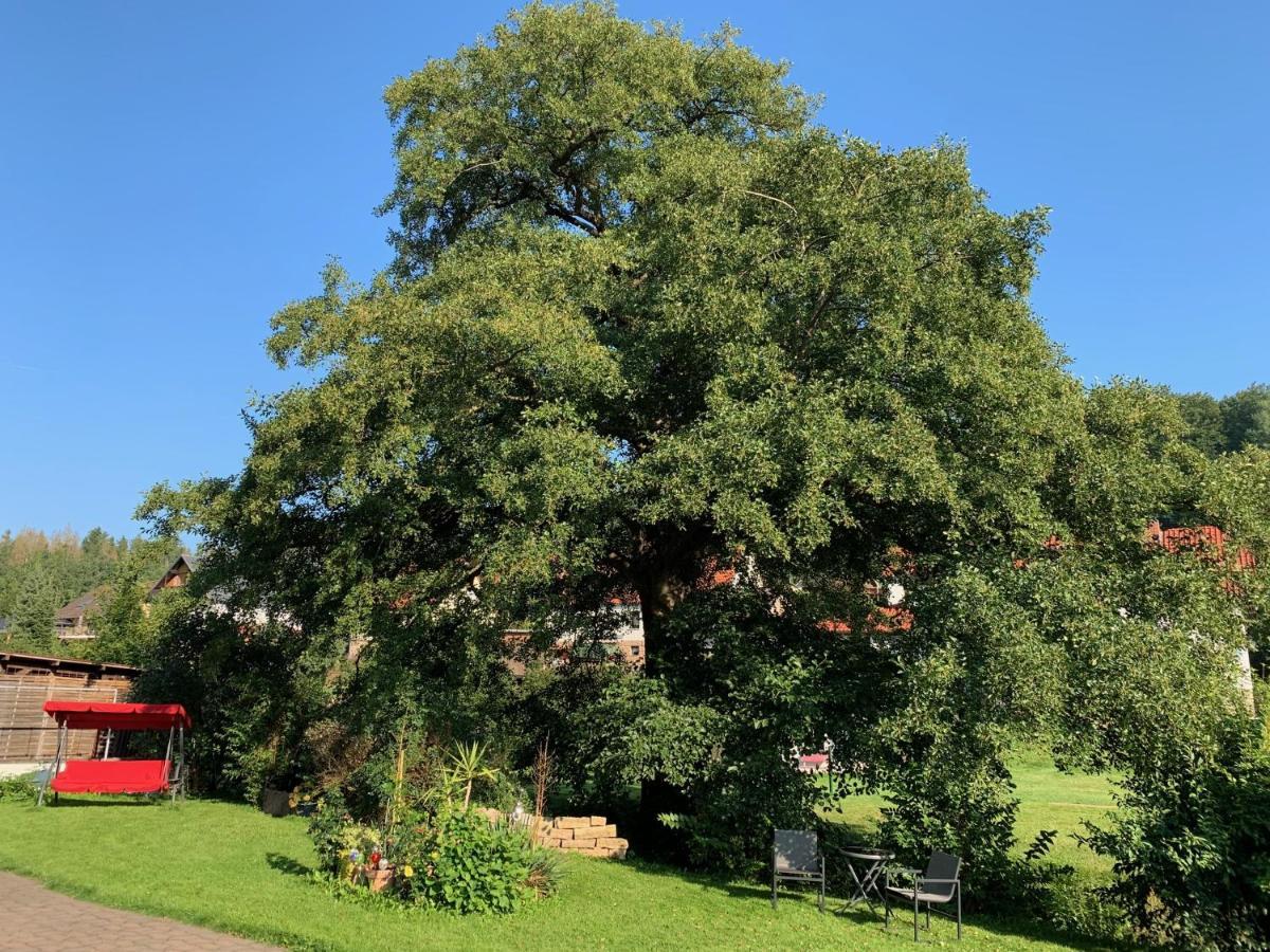Ferienwohnung Am Rennsteig Bei Eisenach - Ilona Schmidt Wolfsburg-Unkeroda エクステリア 写真