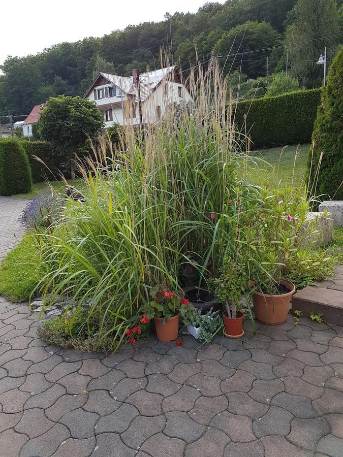 Ferienwohnung Am Rennsteig Bei Eisenach - Ilona Schmidt Wolfsburg-Unkeroda エクステリア 写真